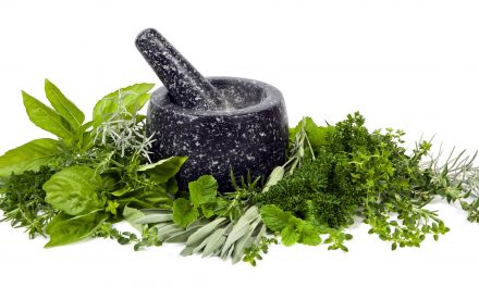 Herbs And Spices For Health And To Spice Up Vegan Cooking